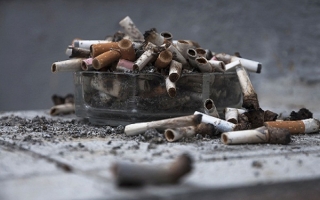 Hút 50 điếu thuốc lá sẽ gây ra một đột biến ADN ở mỗi tế bào phổi